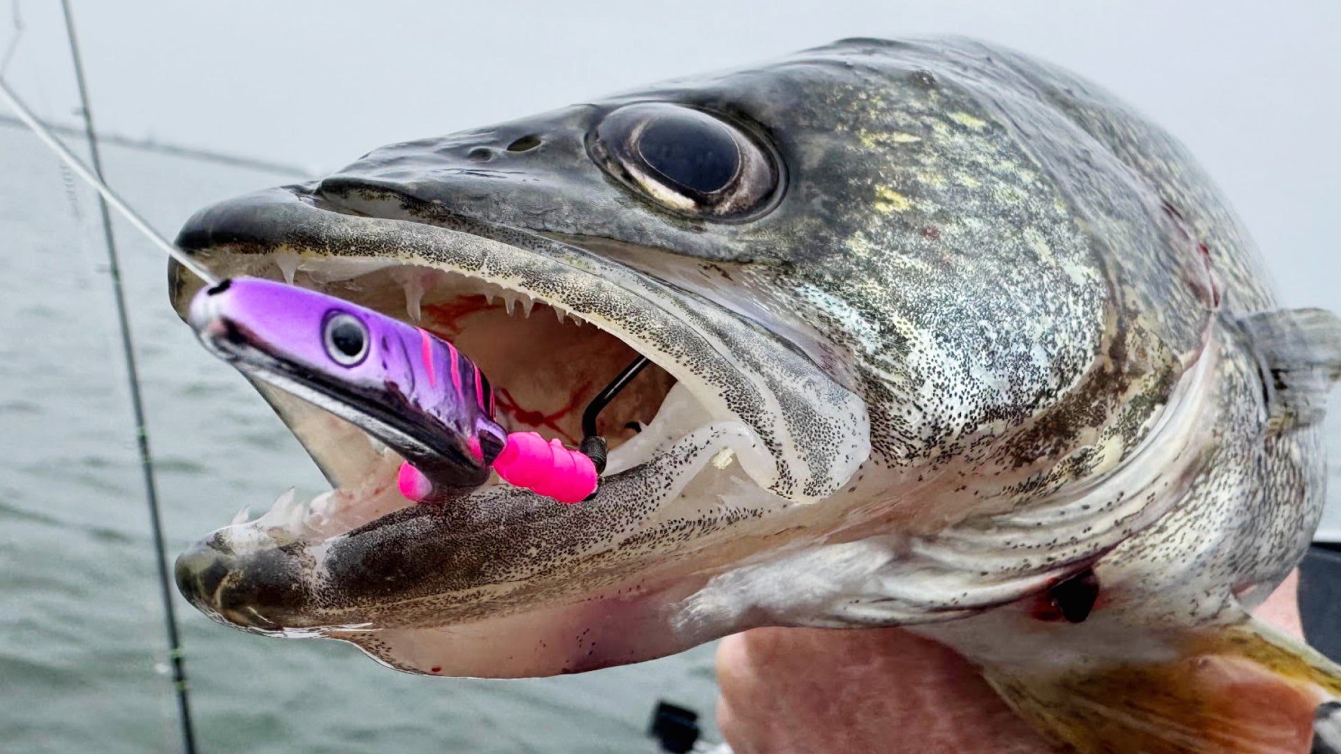 HOT TAILS - THE ULTIMATE WALLEYE LURE