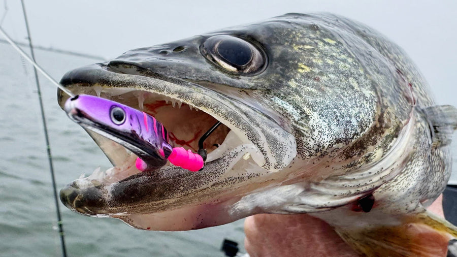 HOT TAILS - THE ULTIMATE WALLEYE LURE
