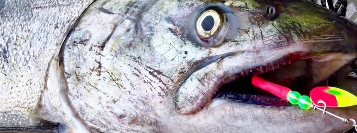 Shop Fishing Baits and Lures at Hawken Fishing
